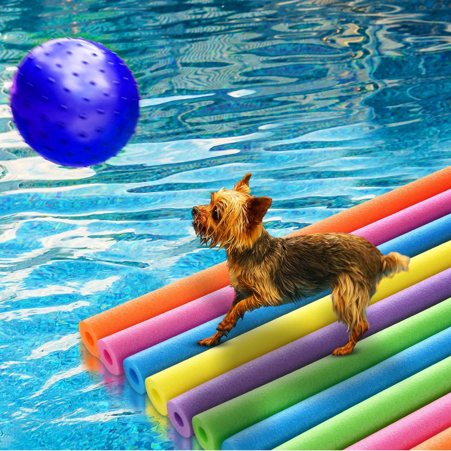 Набор из 18 плавательных палоч – обзор и цена Foam Pool Noodle